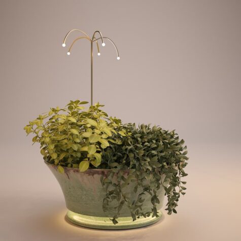 Lichtschale